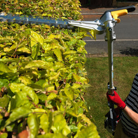 Hire Long Reach Hedge Trimmer